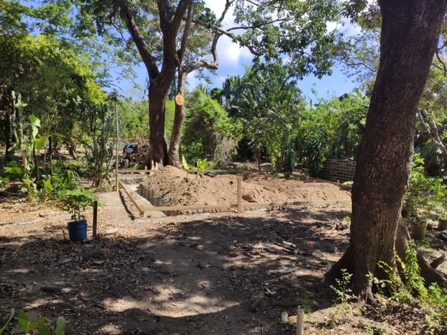 The empty jungle lot with foundation trenches dug — before a single block was laid, this was just a clearing